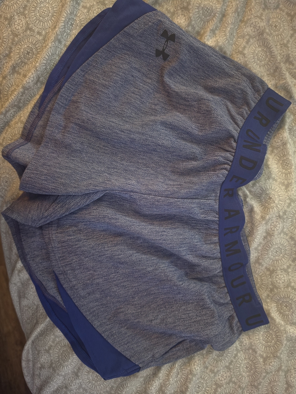 Under Armour Women's Blue Performance Shorts